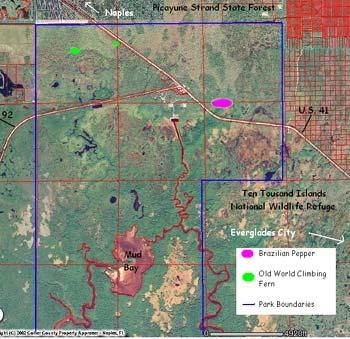 Collier-Seminole State Park County: Collier PCL Size: 7,271 acres Project ID: SW-059 10.