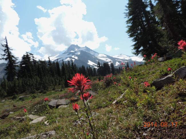 1 WILDERNESS TREK VIII August 14-18, 2014 Greg and I chose to return to JEFFERSON PARK, a pristine, lake-filled, high mountain meadow on the North side of Oregon's own beautiful, Mt. Jefferson.
