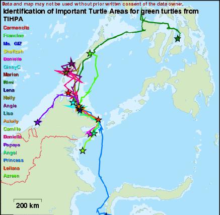 Benefits on the Regional Engagement: Sea Turtle Marine Protected Area Network - Sea turtle research in the Philippines and Malaysia using the following methodologies: laparoscopy in Tubbataha,