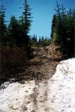The following June 26 photo shows fresh snowmobile tracks on the bare, abandoned roadbed between the turnaround area at the end of the Lost Johnny road and the unauthorized bridge.