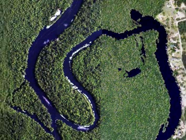 Freshwater Riverine, Oxbows & Swamp Forest