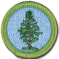 MB153 2-4 PM Forestry In working through the Forestry merit badge requirements, Scouts will explore the remarkable complexity of a forest and identify many species of trees and plants and the roles
