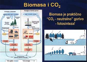 Drvna biomasa kao energija predstavlja sunčevu energiju koja se u biljci akumulira u procesu fotosinteze.