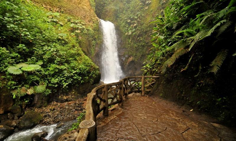 Five waterfalls surrounded by pristine forest on 2.5 miles of hiking trails.