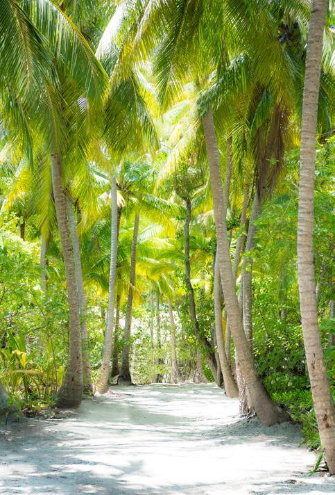AN IDYLLIC I SLAND RETREAT Explore all this and more at Vakkaru Maldives, a haven of serenity in an aweinspiring location where lifetime memories are made.