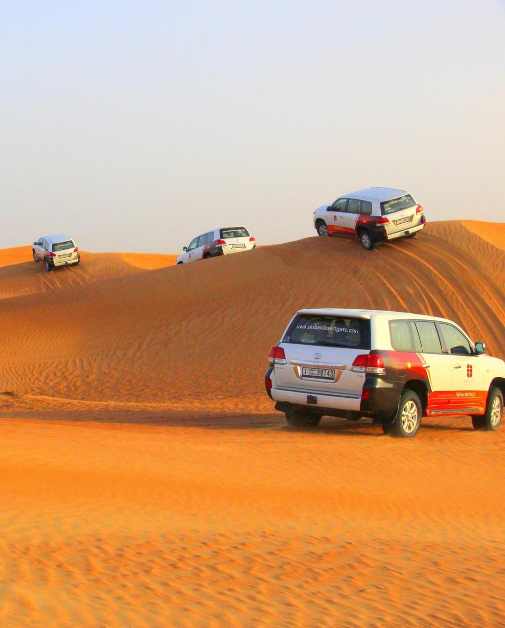 AFTERNOON DESERT SAFARI & BBQ DINNER The ever-changing patterns of the Arabian sands would last unforgettable impressions.