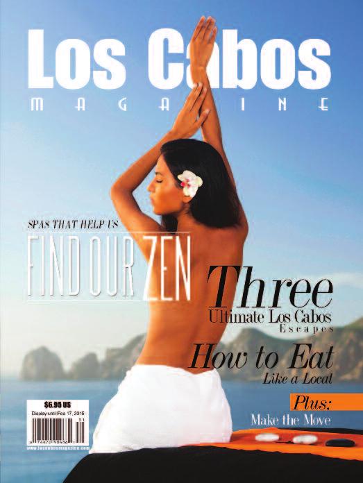 The leading Los Cabos web portal receives an average of 5,700 page views per day from 1,732 unique visitors, or approximately 2 million page views from 632,374 unique visitors for