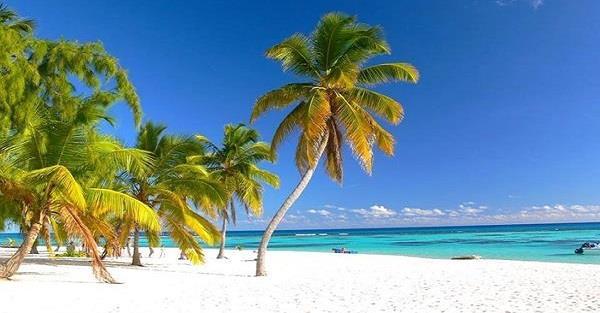 beach you ve ever seen and what do you get? Our paradise - Saona Island!
