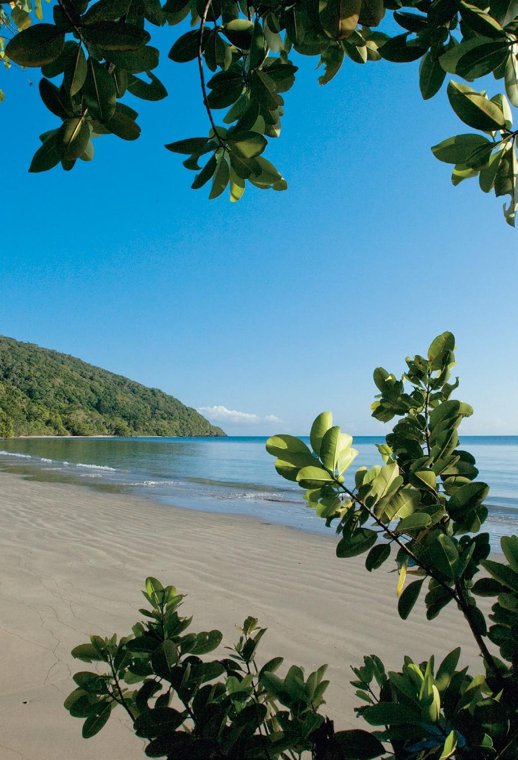 CAPE TRIBULATION YHA BUDGET GROUP ACCOMMODATION - 2018 Nestled deep within the Daintree Rainforest, Cape Tribulation YHA provides budget group accommodation at one of Australia s most famous beaches.