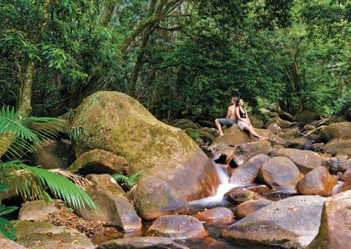 CAPE TRIBULATION YHA 2018 ACTIVITIES THINGS TO DO IN CAPE TRIBULATION