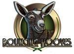 Miniature Goat Breeders Association of Australia Inc ARBN: 169 787 099 MINIATURE GOAT SHOW CATALOGUE Canungra Show Results Judge: Bryony Le Poidevin 24/07/16 Chief Steward: Rodney Surawski Show