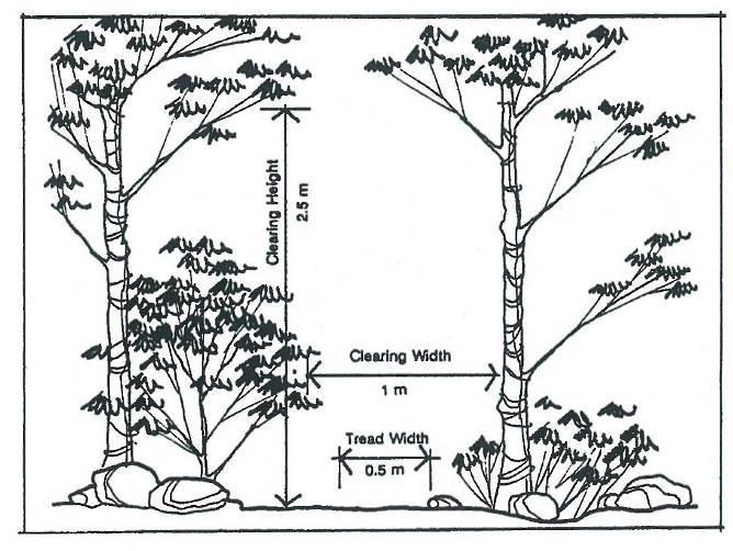 Illustrations Figure 18: Clearing width and height for hiking / walking trail Figure 19: Gradients for accessible pathway ramp Criteria Range Clearing Width Clearing Height Tread Width Trail Surface