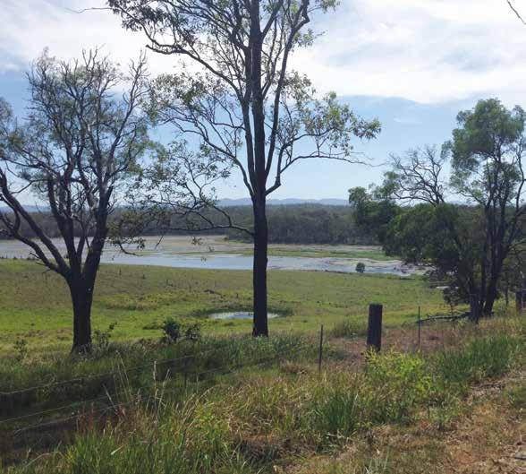 Accessing private land to fish is not permitted. Tracks and Trails There are no trails located at Lake Kurwongbah.