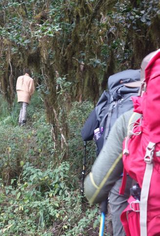 Travel from Arusha to Longido to experience walking through the beautiful African bush, to the summit of Mount Longido (2690m).