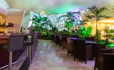 Lobby Bar Collage BARS Lobby Bar: This bar offers live music and a perfect atmosphere for