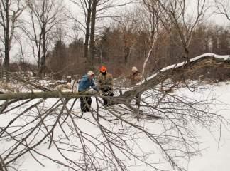 The DNR provided the saws, gas, and technicians to cut the trees.