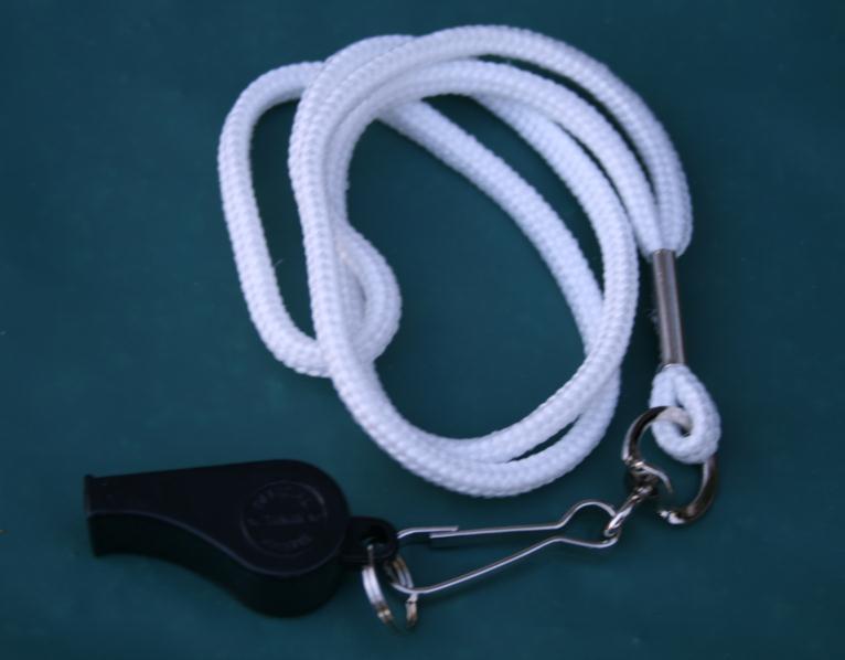 WHISTLE During search and rescue efforts, having a whistle will allow you to alert