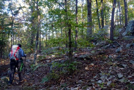 Photo Credit: GetGoingNC PIEDMONT REGION 8 Uwharrie National Recreation Trail The Uwharrie National Recreation Trail offers year-round access for day hikes or multiday backpacking treks through the