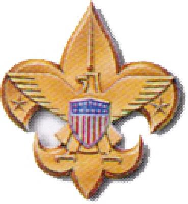 Troop 999 Building Character and Excellence since 1976 Camp
