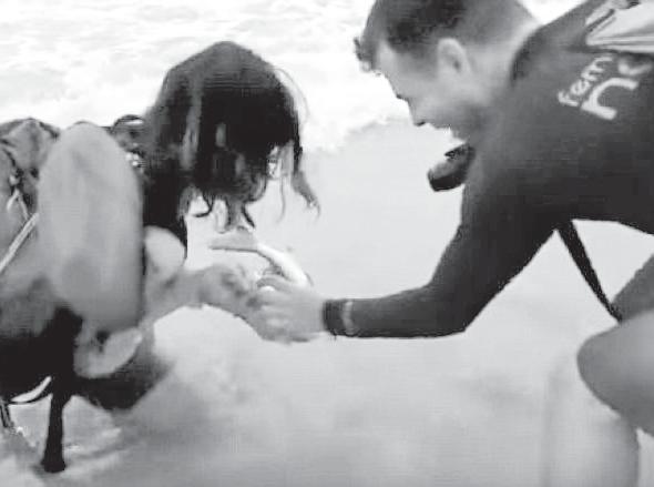 Video e përpjekjeve të gruas braziliane për të hequr peshkaqenin nga dora e saj është shpërndarë në internet dhe ka marrë jo pak vëmendje.