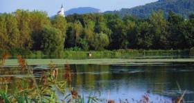 upravljanja. Ekološko-turistična obogatitev ribnika Vrbje Projekt se je uresničeval v okviru programa PHARE čezmejno sodelovanje Slovenija/Avstrija in je trajal 12 mesecev.