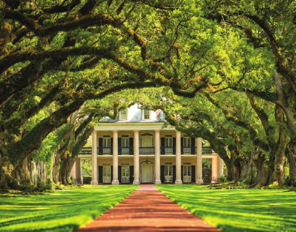 Gardens, near Baton Rouge. Knowns as the Crown Jewel of Louisiana s River Road and historically as The Sugar Palace, its wealth was amassed through the production of sugar in its antebellum heyday!