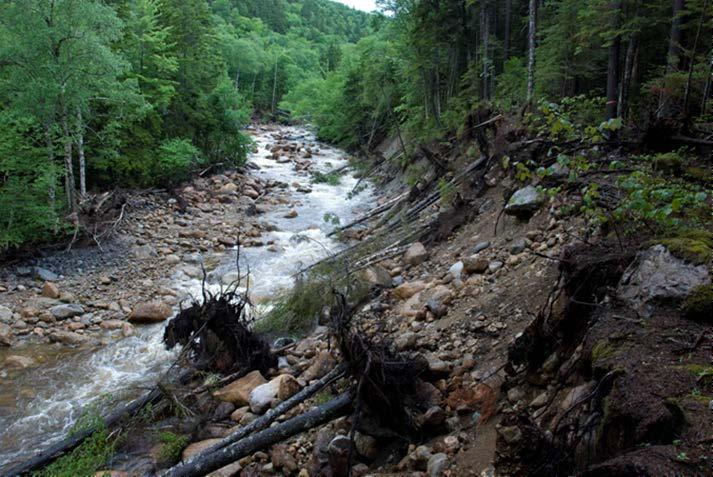 White Mountain National Forest Saco Ranger District Purpose and Need for Action The Dry River, Isolation and Rocky Branch hiking trails all sustained major damage from the high water flows associated