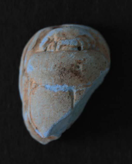 Figure 1, A scarab