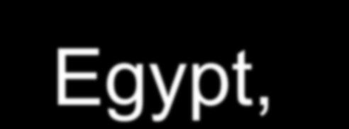 Successors Ptolemy Egypt,