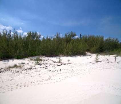 Abaco Estate ervices For ale - $14,500,000 Est. 40 Acre Beachfront ite - Hotel Zoned http://www.abacoestateservices.