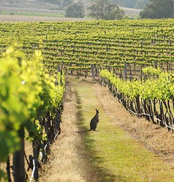 2017 Route Daily Itinerary Hunter Valley Day 2