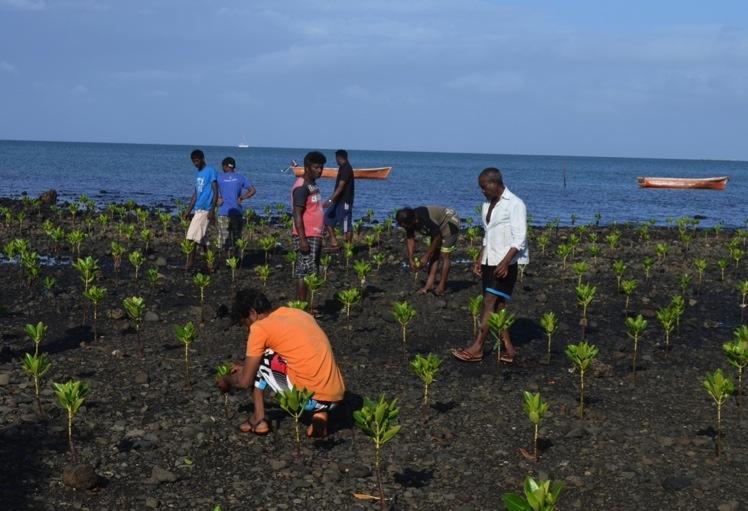 Mauritius Implementing adaptation projects in coastal zones ADAPTATION FUND Shoreline