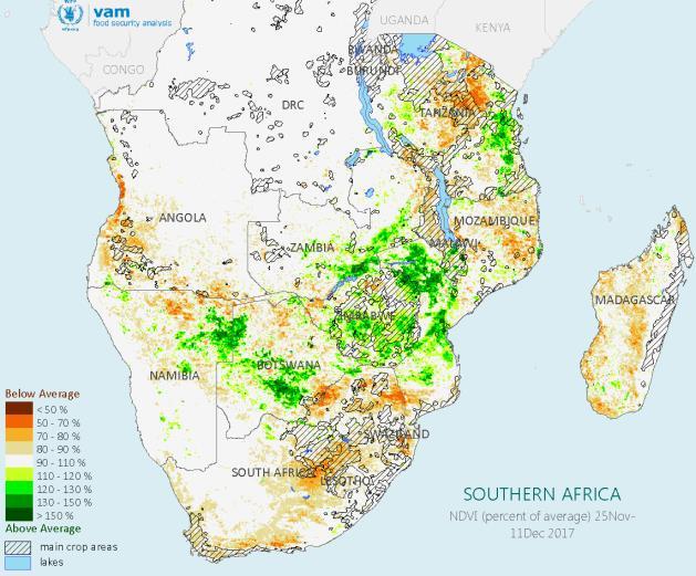 In contrast, Zimbabwe, northern Mozambique, most of Zambia and Tanzania enjoyed favourable rainfall resulting in an earlier start to the growing season.
