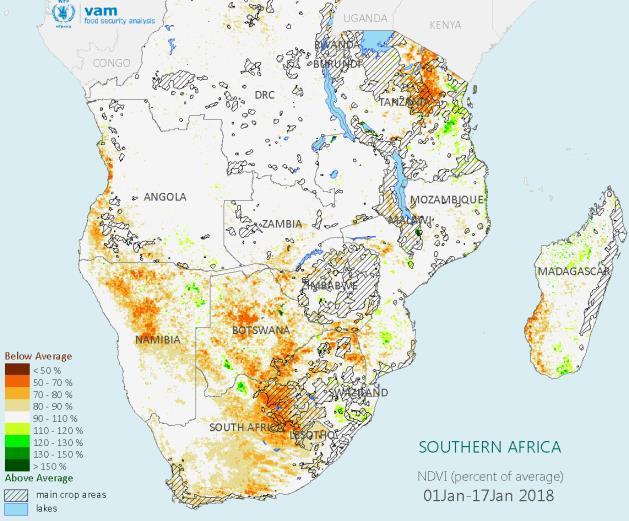 Vegetation cover is now well below average. Even areas which experienced a favourable early season are now in the grip of steady degradation.
