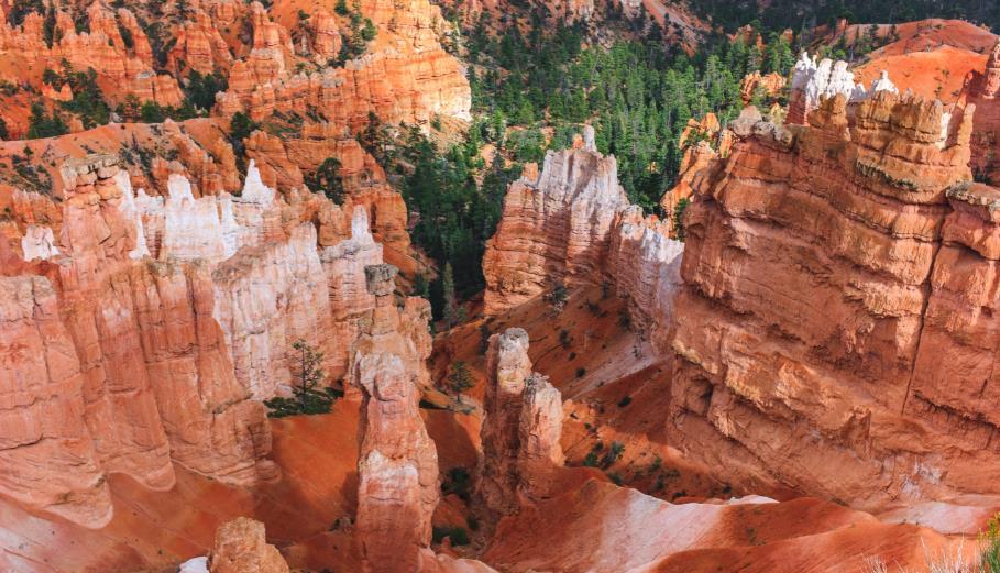 Day 6 ~ A Canyon Kaleidoscope, Bryce Canyon & Zion National Parks Included sites at Bryce Canyon are: Red Canyon Hoodoos Natural Bridge Sunset Point Inspiration Point Yovimpa Point ACTIVITIES A short