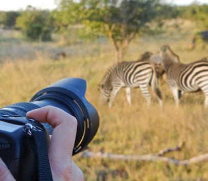 CAPTURE YOUR IMAGINATION An East Africa Photographic Expedition offers the exclusive opportunity for guests to develop their personal wildlife photographic skills, on a small group set departure