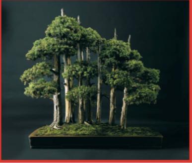 Program BCI Mulhouse Convention October 12 to 14 Program for Friday, October 12 at the Parc Expo -10am: Inauguration -2-6pm: creation of a large Ishitsuki with Scotch pines by - Mitsuo Matsuda, John