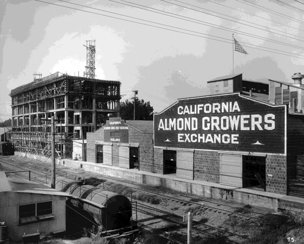CULTURAL RESOURCES: APPENDIX Figure 31. The California Almond Growers Exchange facility, shown here circa 1929, like most of Sacramento s canneries and packing plants, had excellent rail access.