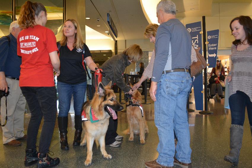 Stressbuster Dogs The Go Team Stressbuster Dogs came to the Boise Airport Visited three days before/after
