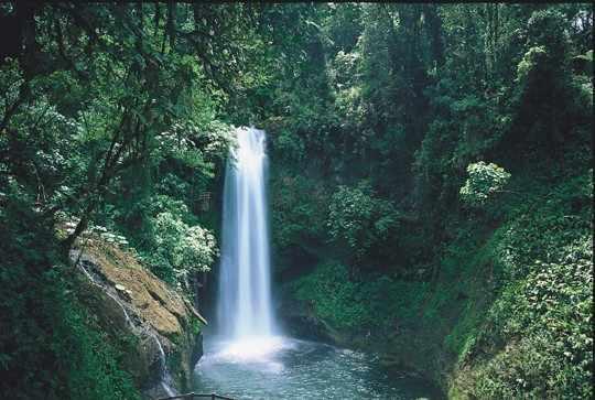 In addition to the volcano, the Poas National Park is a 9,884-acre reserve with rich tropical vegetation and animal life.