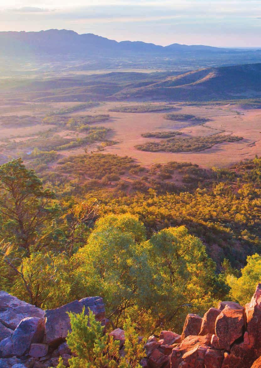 Beyond imagination The Flinders Ranges is a destination like no other in Australia.