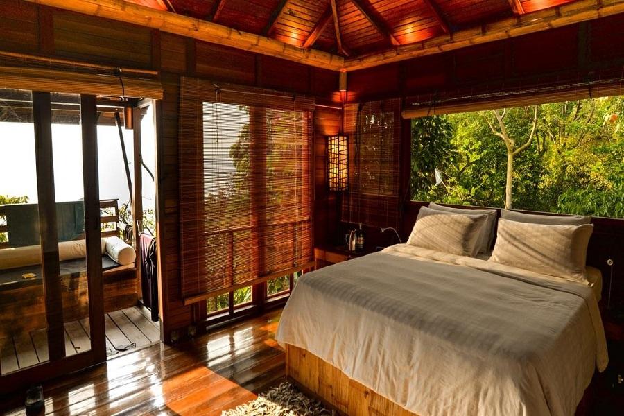 Palm trees and bamboos surround a charming swimming pool at the edge of which day-beds are set for relaxation.