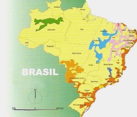 Brasilian network of
