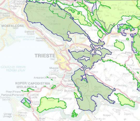 Območje Kraškega roba je bilo namreč evidentirano kot ekološko pomembno območje, ki tvori hrbtenico omrežja Natura 2000.