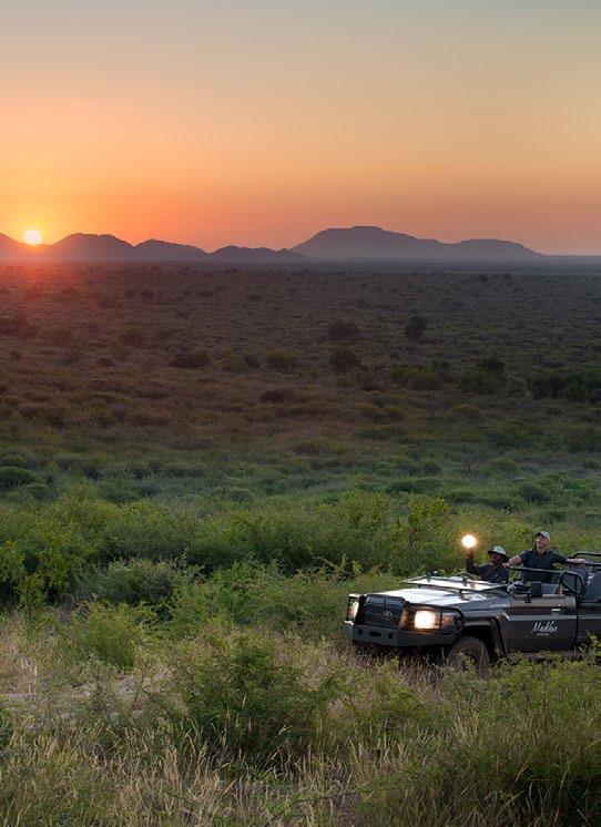 DESCRIP IT LL TAKE YOUR BREATH AWAY It didn t take much to be enamoured by Madikwe. Everything about this place is vast its landscapes, its heavens, its wildlife. This is rugged Africa, and then some!