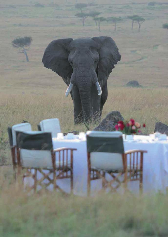 AFRICAN INCOMING GOLF & SAFARI SPECIALISTS www.