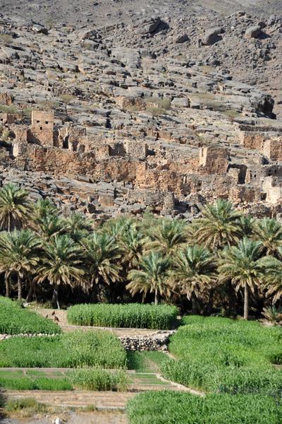 about 3000 meters above sea level. The tour proceeds to Al Hamra, a 300 year old town lying on the edge of a sprawling oasis.