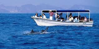 After seeing these beautiful cetaceans unwind by snorkeling in the crystal waters in nearest snorkeling sight.