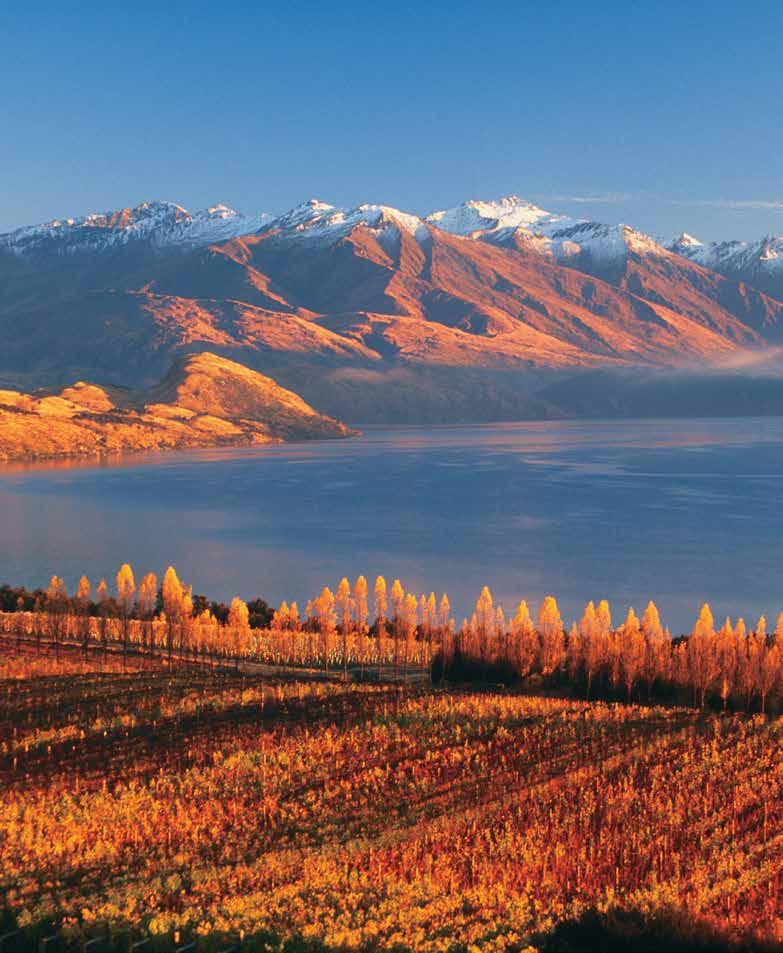 of New Zealand s South Island by train and luxury coach and