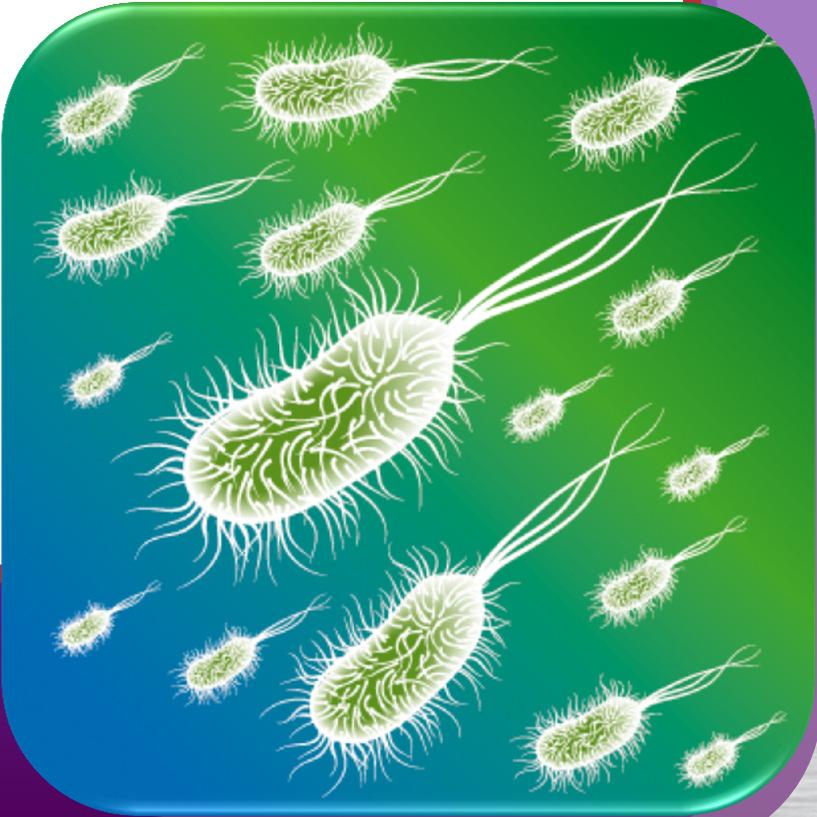 STEC E-Coli Commonly found in the gastrointestinal tract of people and animals.